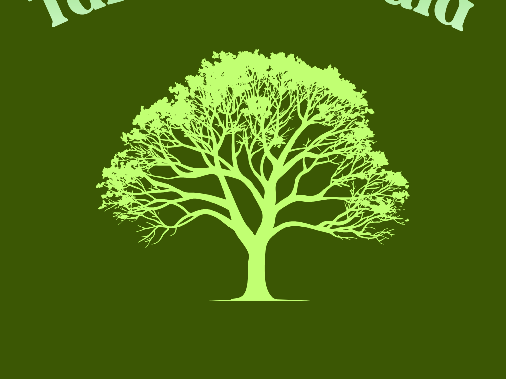 services-01 Tammiste Kula 1 Edited